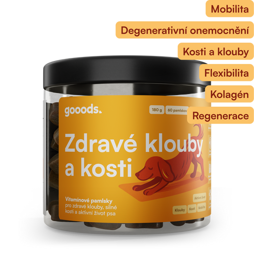 Zdravé kĺby a kosti