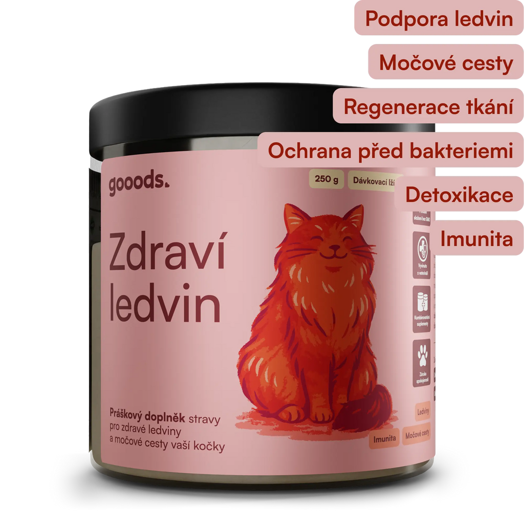 Zdraví ledvin gooods