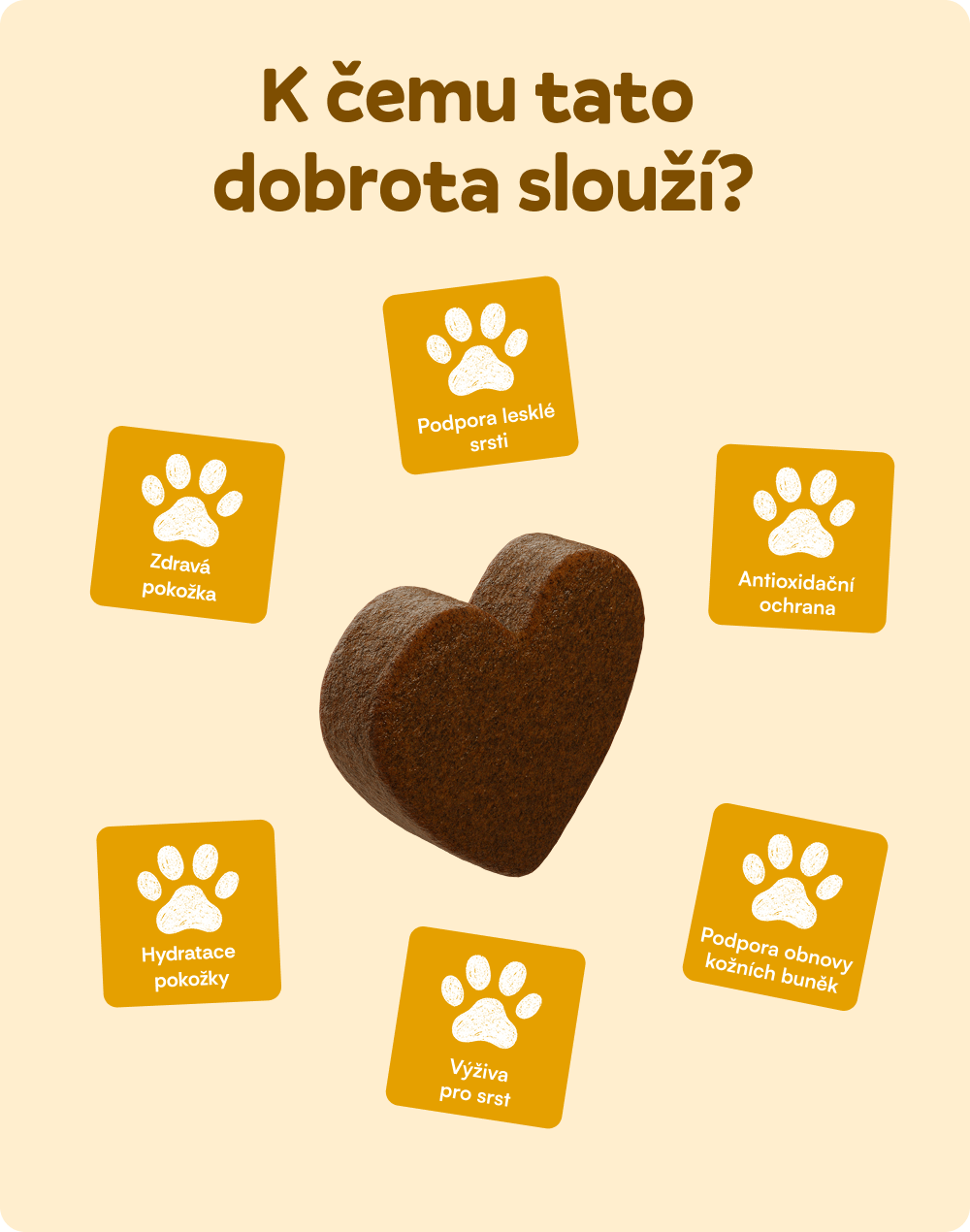 Zdravá srsť a koža