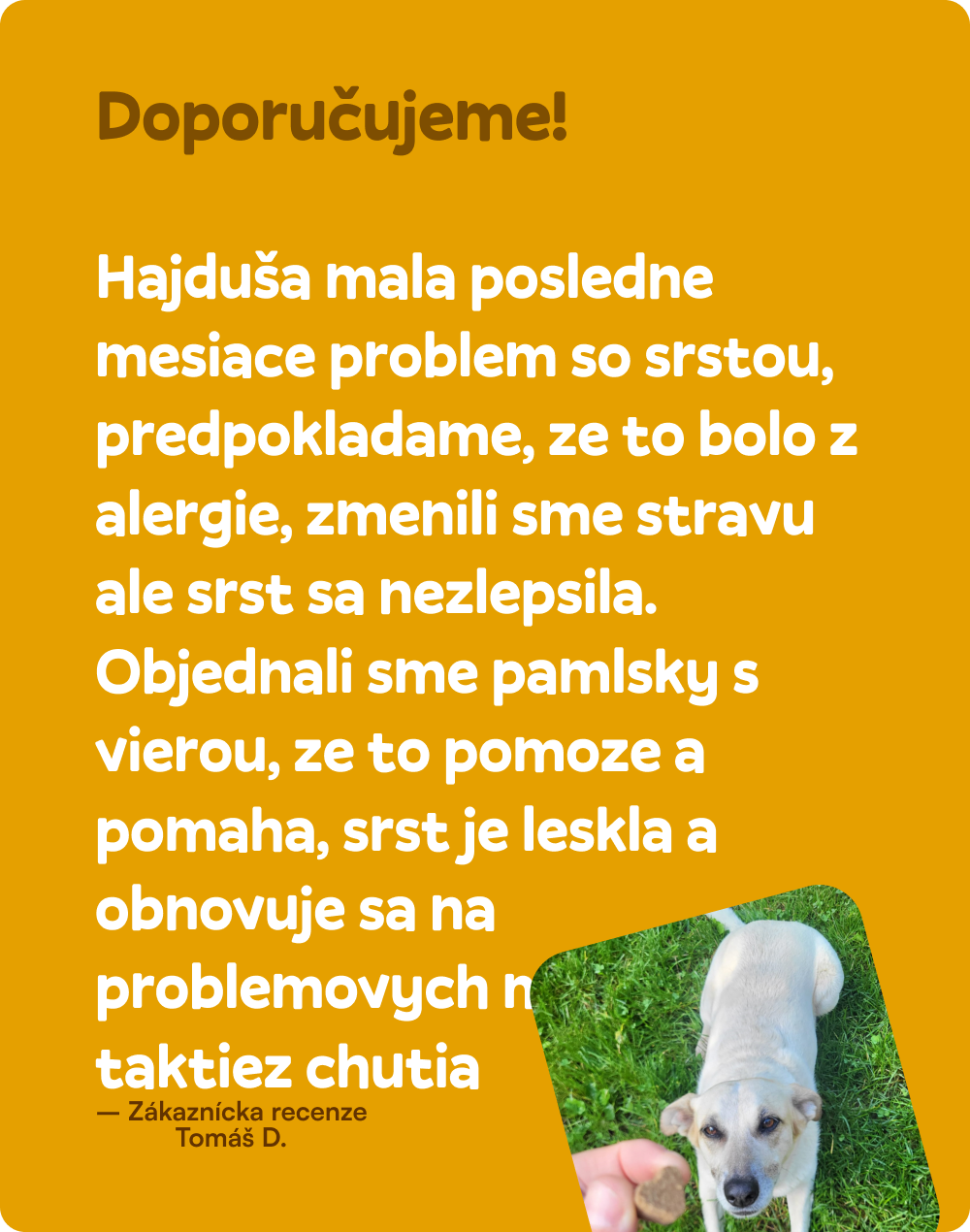 Zdravá srsť a koža