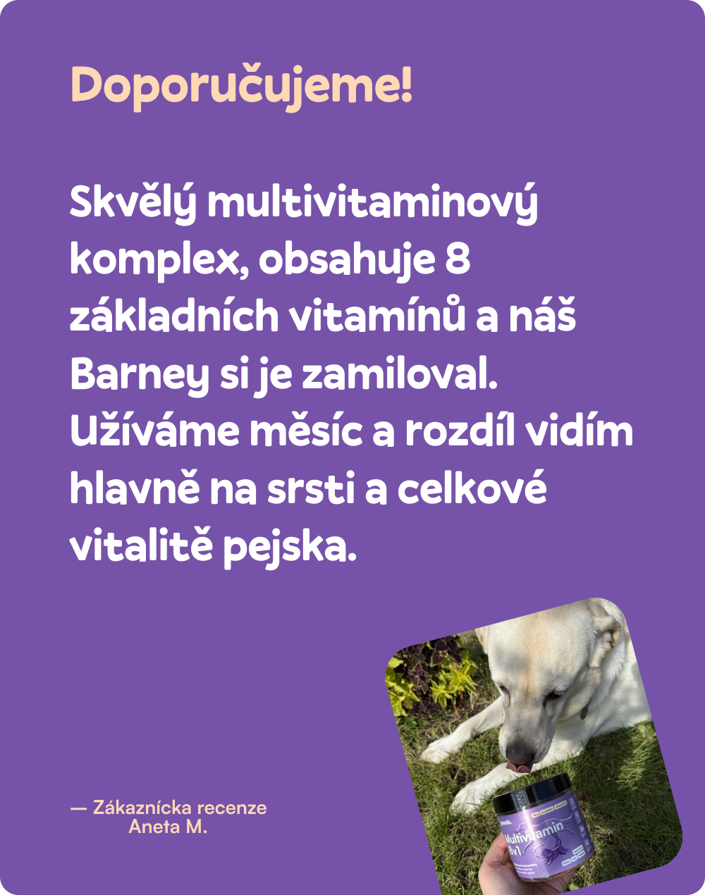 Multivitamín 8 v 1