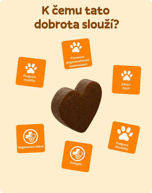 Zdravé kĺby a kosti