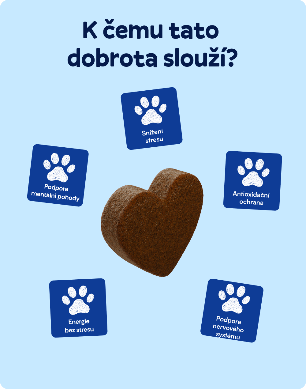 Pokojný pes