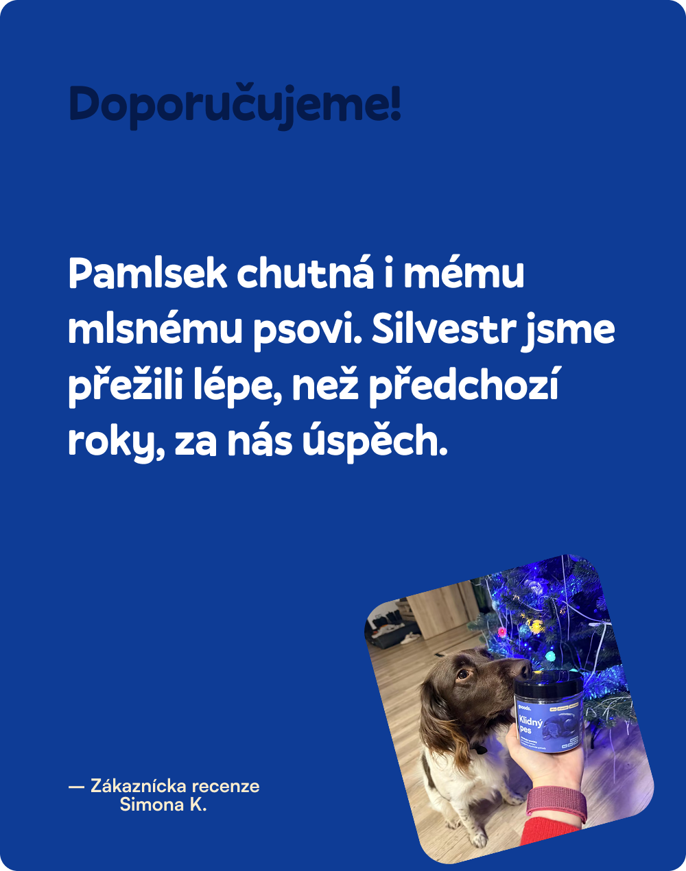 Pokojný pes